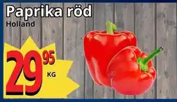 Supergrossen Paprika röd erbjuda