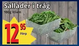 Supergrossen Sallader i tråg erbjuda