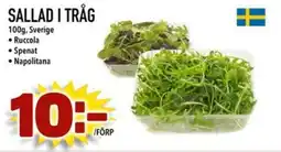 Din Mat Sallad i tråg erbjuda