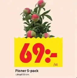 ICA Kvantum Pioner 5-pack erbjuda