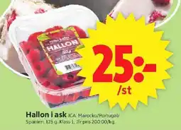 ICA Supermarket ICA Hallon i ask erbjuda