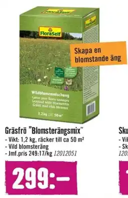 Hornbach Gräsfrö "Blomsterängsmix" - erbjuda