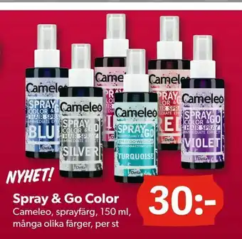 Spray & Go Color