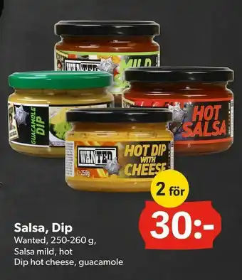 Salsa, Dip
