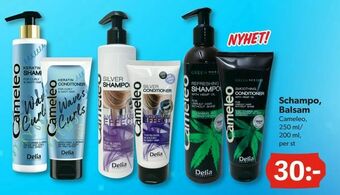 DollarStore Schampo, Balsam erbjuda