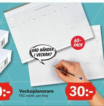 DollarStore Veckoplanerare erbjuda
