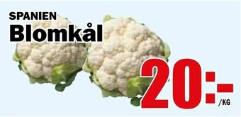 Matdax Blomkål erbjuda