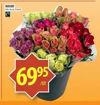 Rosor