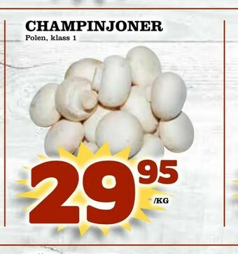 Supergrossen Champinjoner erbjuda