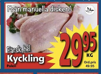 Supergrossen Kyckling erbjuda