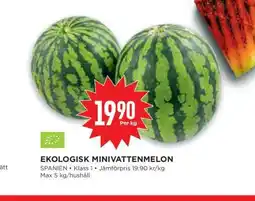 Willys EKOLIGISK MINIVATTENMELON erbjuda