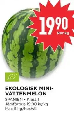 Willys Ekologisk Mini- vattenmelon erbjuda