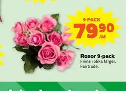Stora Coop Rosor 9-pack erbjuda