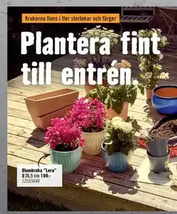 Hornbach Blomkruka ”Lera” erbjuda
