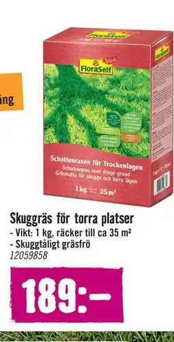 Hornbach Skuggräs för torra platser erbjuda