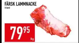 Matdax Färsk lammnacke erbjuda