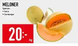 Matdax Meloner spanien erbjuda