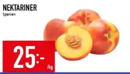 Matdax Nektariner spanien erbjuda
