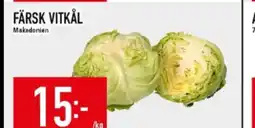 Matdax Färsk vitkål makedonien erbjuda