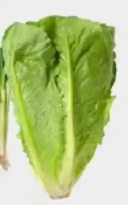 Matdax Romansallad erbjuda