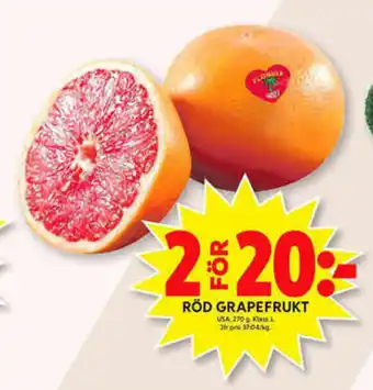 Usa Röd Grapefrukt 270g