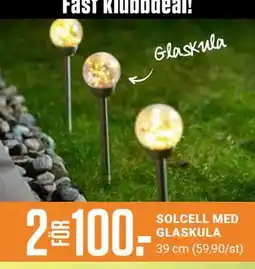 ÖoB SOLCELL MED GLASKULA, Medlemspris erbjuda