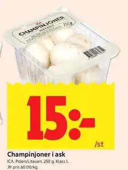ICA Kvantum Champinjoner i ask erbjuda