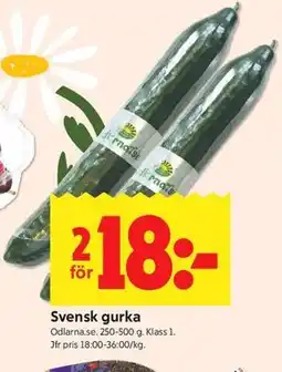 ICA Kvantum Svensk gurka erbjuda