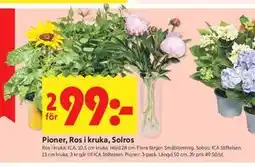 ICA Kvantum Pioner, Ros i kruka, Solros erbjuda