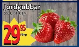 Supergrossen Jordgubbar erbjuda