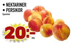 Din Mat Nektariner • Persikor erbjuda