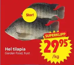 Nya Pulsen Hel tilapia erbjuda