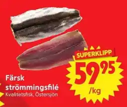 Nya Pulsen Färsk strömmingsfilé erbjuda