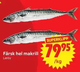 Nya Pulsen Färsk hel makrill erbjuda
