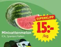 Nya Pulsen Minivattenmelon erbjuda