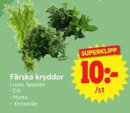 Nya Pulsen Färska kryddor erbjuda