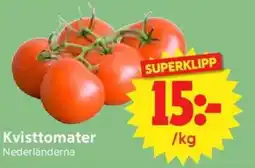 Nya Pulsen Kvisttomater erbjuda