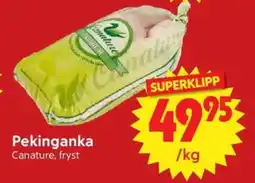 Nya Pulsen Canature Pekinganka erbjuda