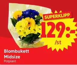 Nya Pulsen Blombukett Midsize erbjuda