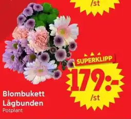 Nya Pulsen Blombukett Lågbunden erbjuda