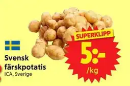 Nya Pulsen Ica svensk färskpotatis erbjuda