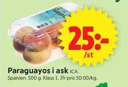 ICA Supermarket Ica Paraguayos i ask erbjuda
