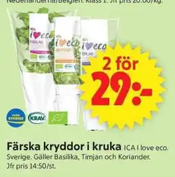 ICA Supermarket Ica Färska kryddor i kruka erbjuda