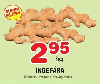 Ingefära