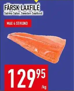 Matdax Färsk laxfile erbjuda
