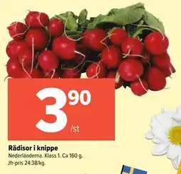 Coop Extra Rädisor i knippe erbjuda