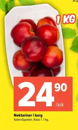 Coop Extra Nektariner i korg erbjuda