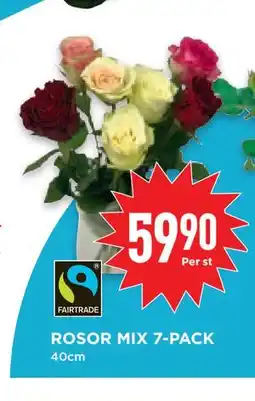 Willys Hemma ROSOR MIX 7-PACK erbjuda