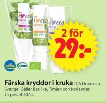ICA Supermarket Färska kryddor i kruka erbjuda
