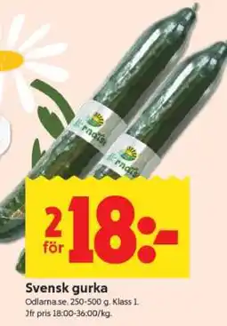 ICA Supermarket Svensk gurka erbjuda